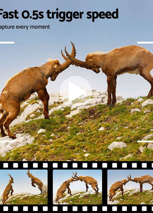 UL-tech 4K 16MP Trail Camera Wildlife Hunting Security Cam Night Vision