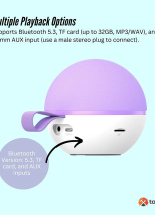 Mini Karaoke Machine - 2x Wireless Microphones Portable Bluetooth Speaker (Purple)(Blue)(Pink)