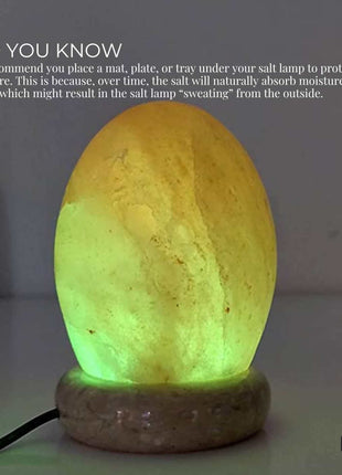 USB Colour Changing Egg Shape Himalayan Pink Salt Lamp Color Change LED Light