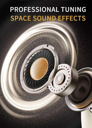 Experience Deep Cleaning Like Never Before with Luxury Replacement Heads and Travel Case.